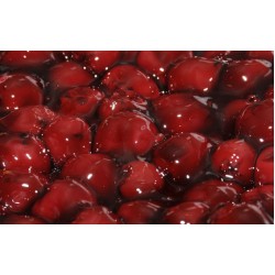 REPO SADE SOĞUK JÖLE 7 KG